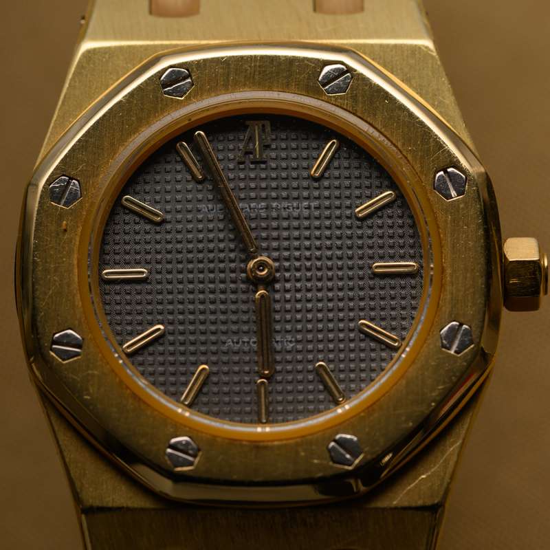 Royal Oak lady